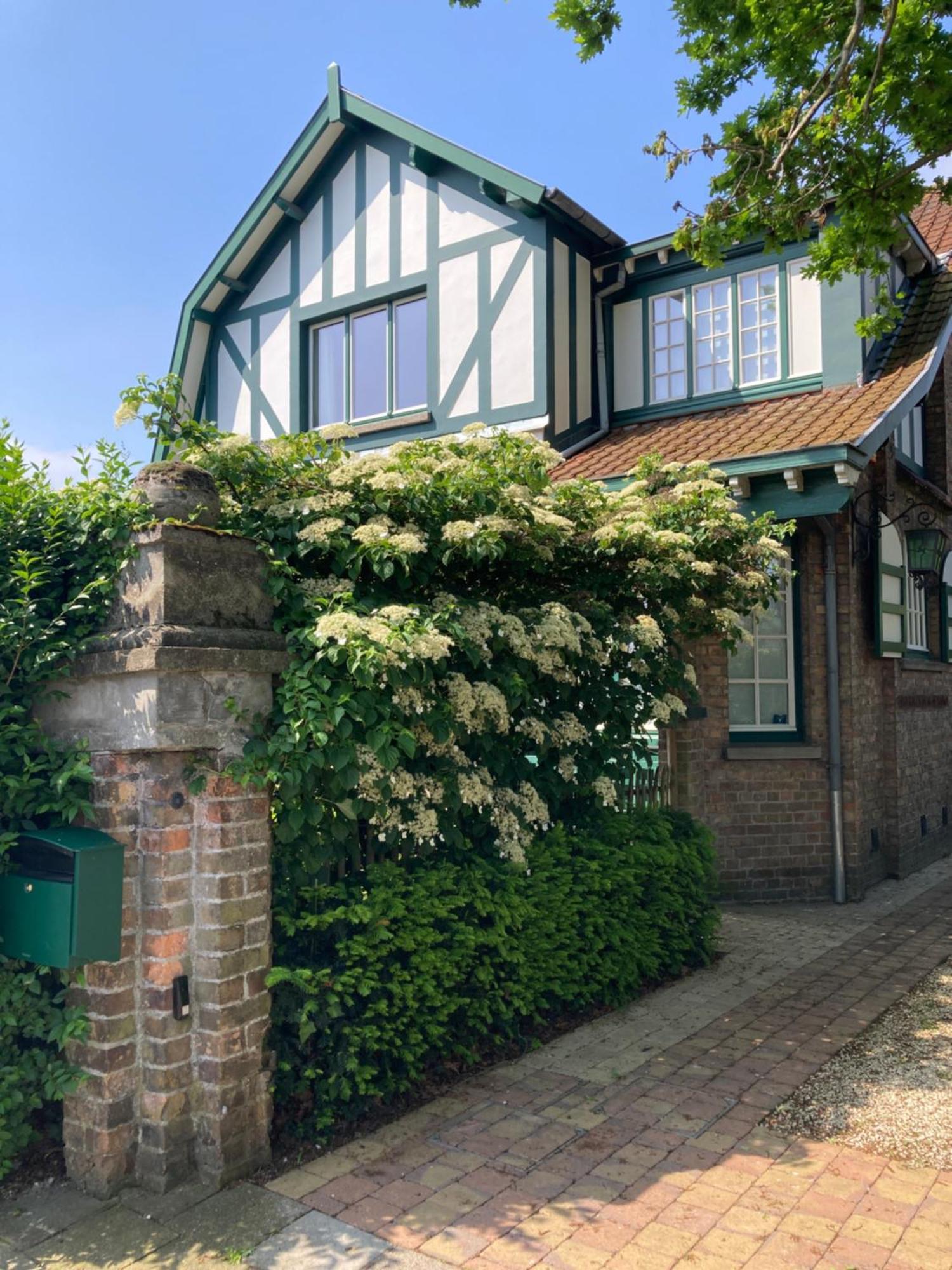Tree & B Bed & Breakfast *